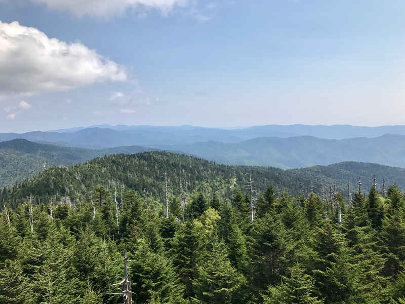 Illustration for article titled Clingmans Dome. Highest point in the Smokies.